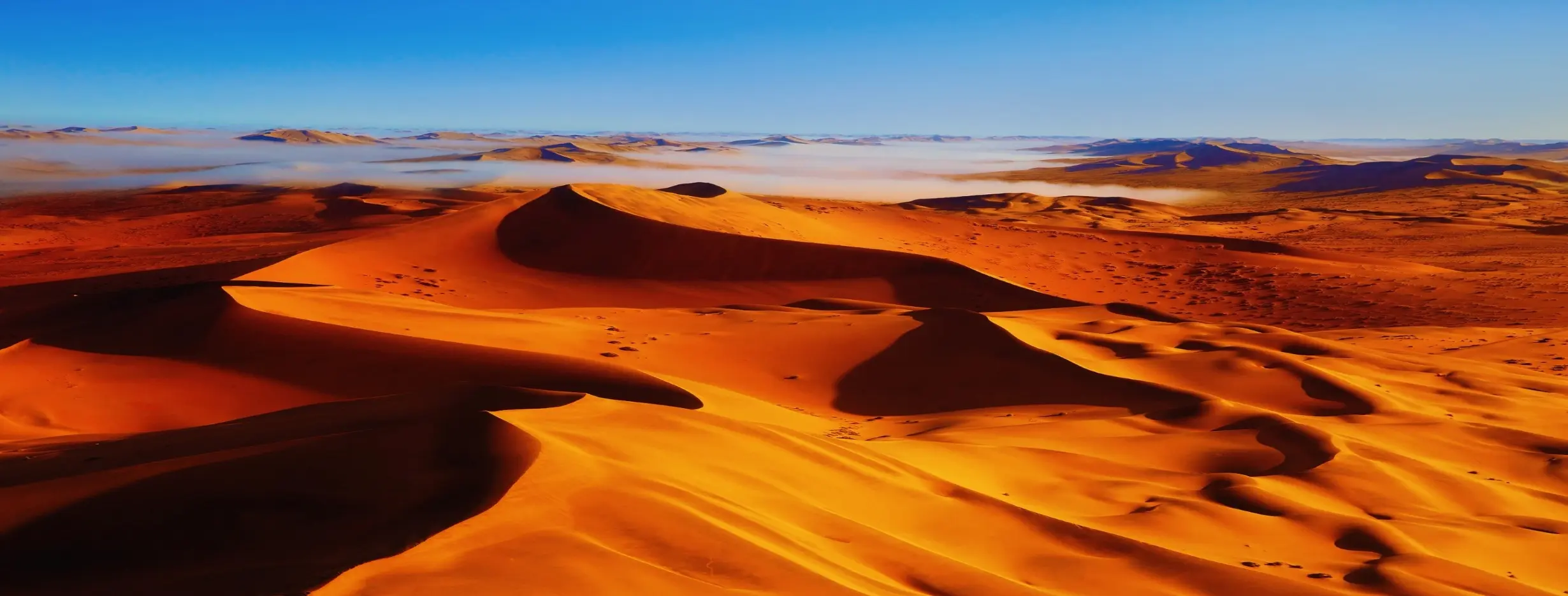 Image for Desert Oasis